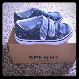 Sperry toddler shoes